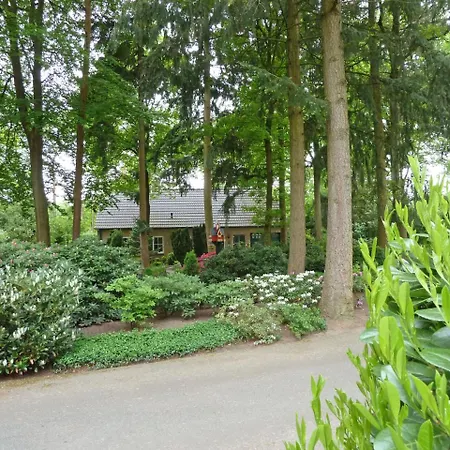 Vakantiehuis Bosrijk Ruighenrode-3