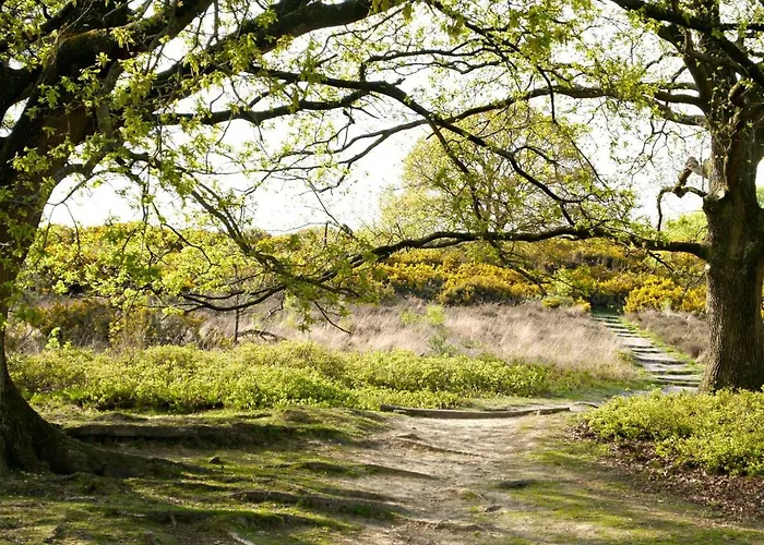 4l-3 By Interhome Semesterbostad Lochem