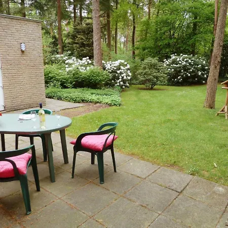 Bosrijk Ruighenrode-3 By Interhome Holiday home Lochem